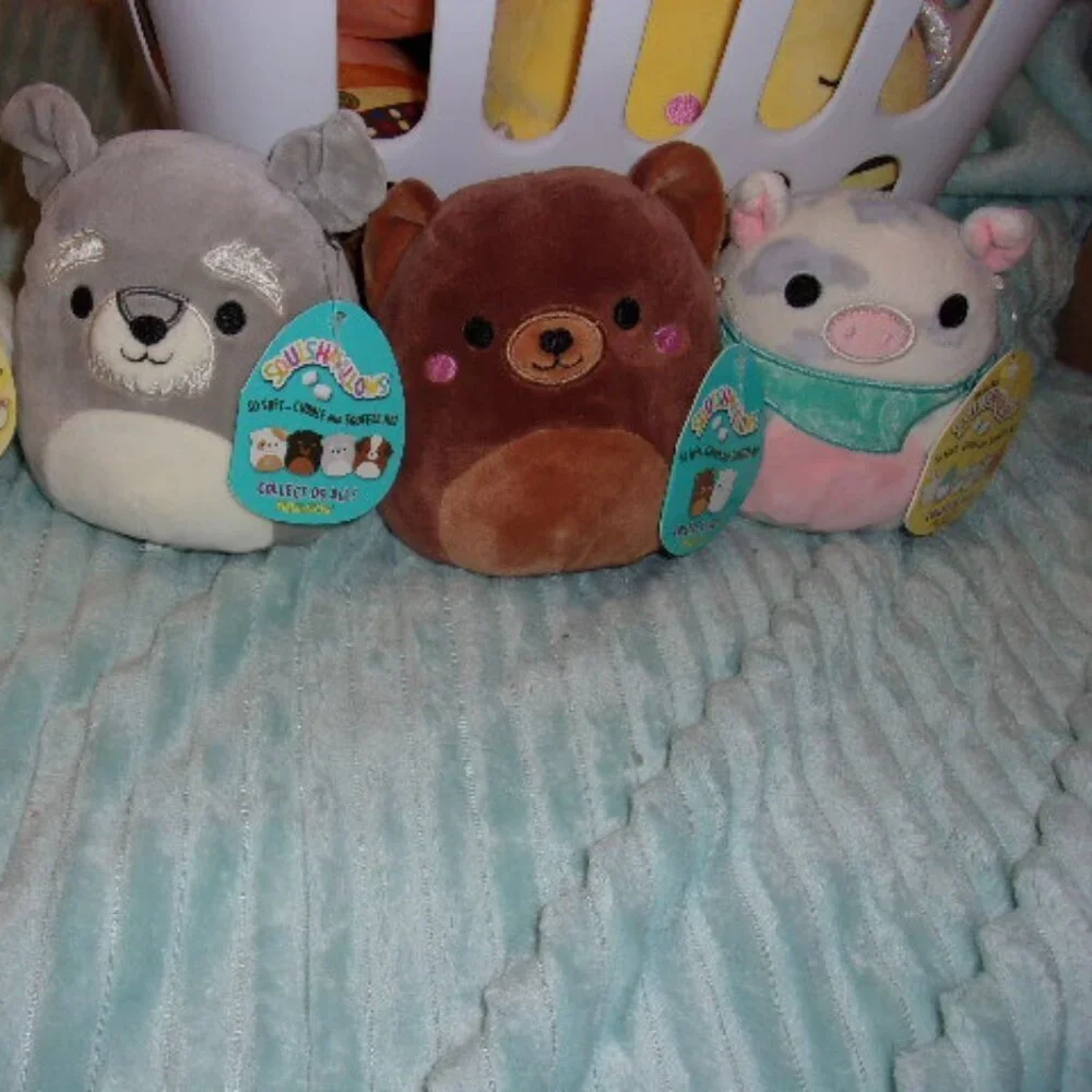 Bundle of 4 small Squishmallows New with tags